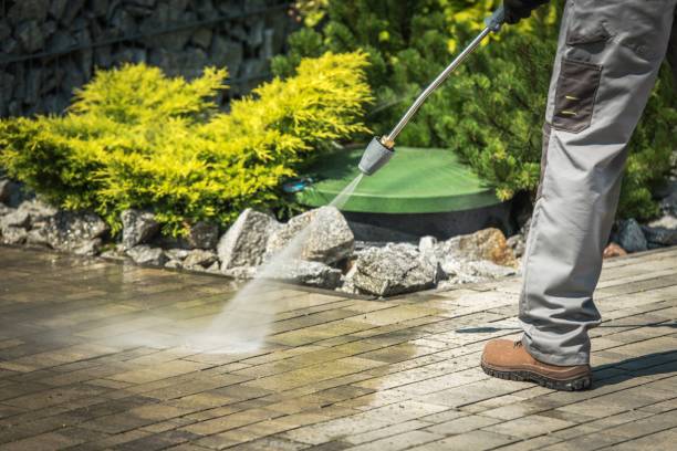 Best Roof Washing  in Northwoods, MO